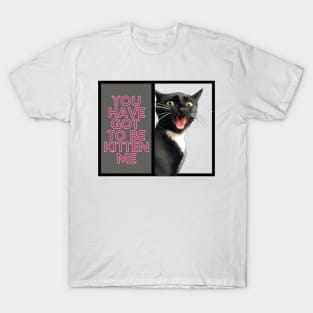 You have got to be kitten me cat T-Shirt